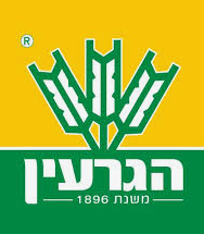 הגרעין